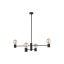 T7931  RADIUS