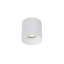 T8731  CL IOS LED WHITE 30W, 3000K, ANGLE 36
