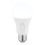 Bulb G10615