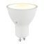 Bulb G10805