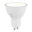 Bulb G10805