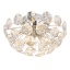 VIRINA G16047DC